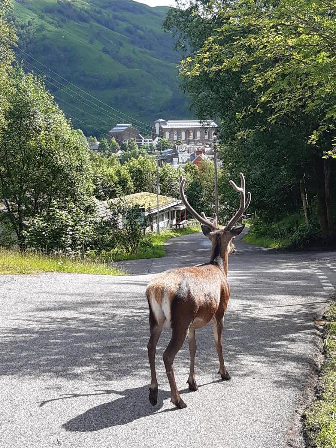 Riverside Pod, West Highland Way Holidays كينلوشليفن المظهر الخارجي الصورة